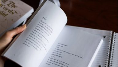 Kindergeld Studium