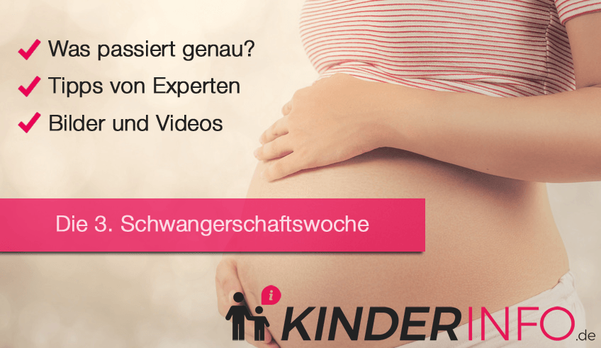 á… 3 Ssw Schwangerschaftswoche Die Infos Im Uberblick